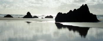 Mud, deposited in calm conditions